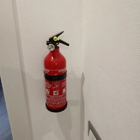 Il Volo Del Gabbiano *