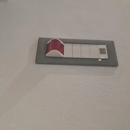 Il Volo Del Gabbiano